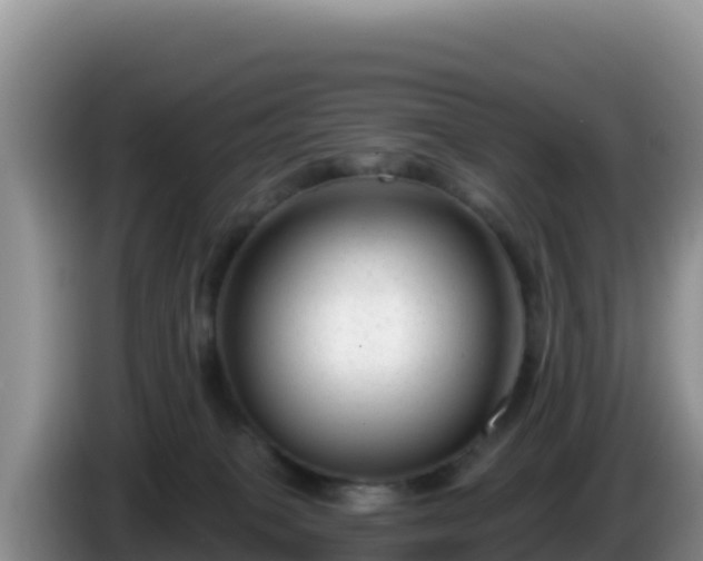 X0000086250085200704051250