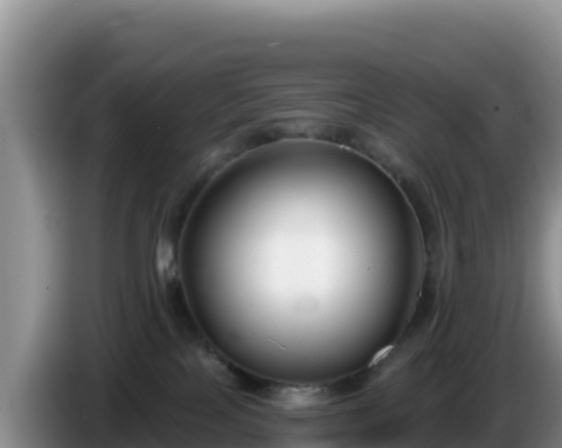 X0000086250089200704051250