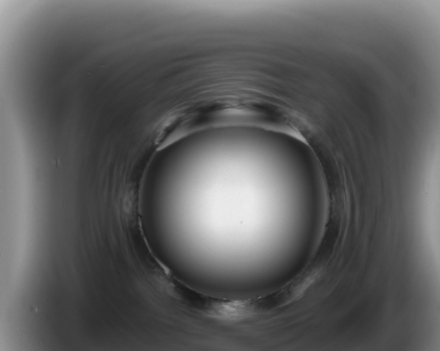 X0000086250092200704051250