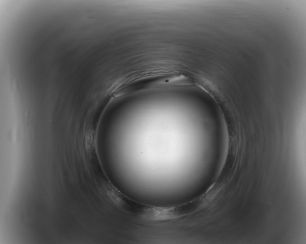 X0000086250093200704051250