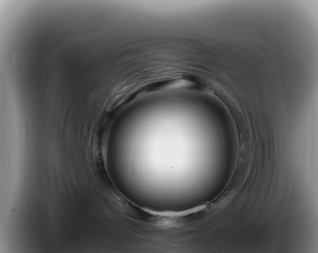 X0000086250096200704051250