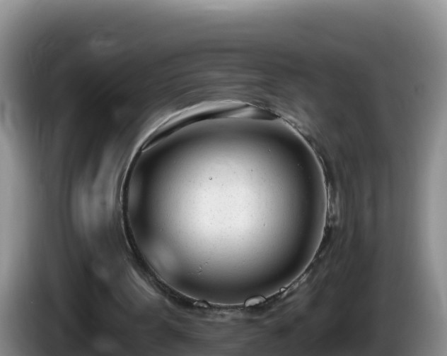 X0000086250099200704051249