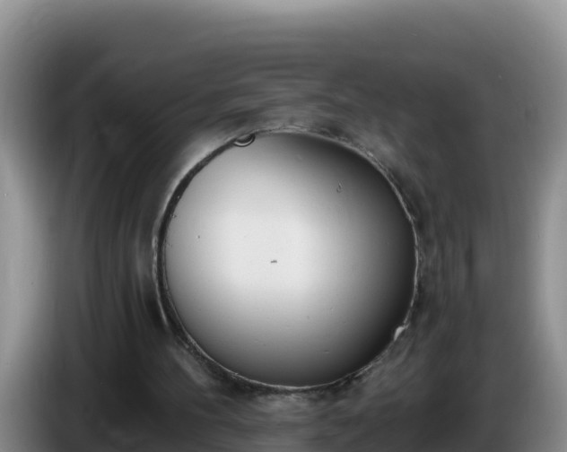 X0000086250100200704051249