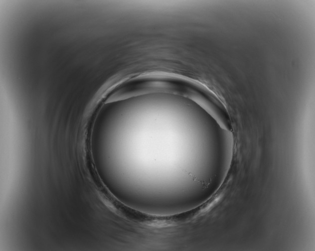 X0000086250101200704051249