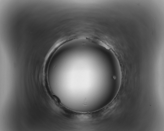 X0000086250102200704051249