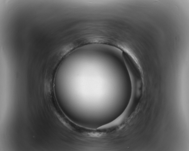 X0000086250105200704051249