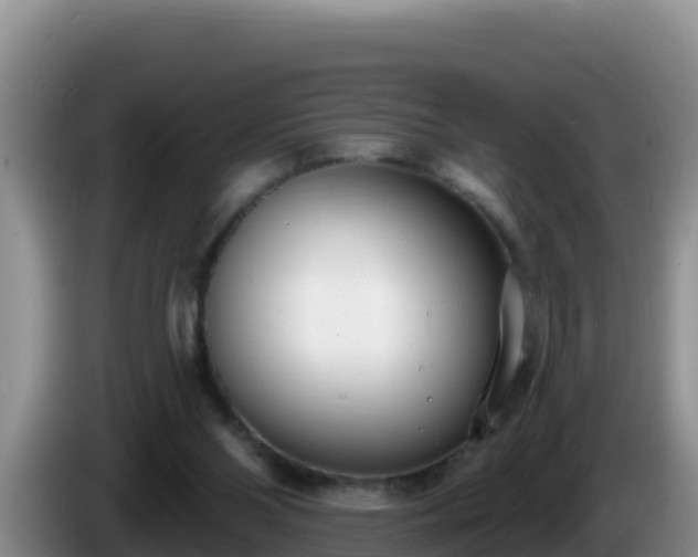 X0000086250110200704051249