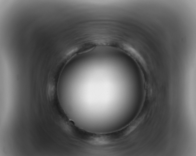 X0000086250113200704051249