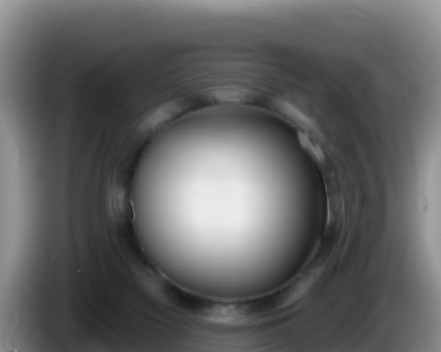 X0000086250117200704051249