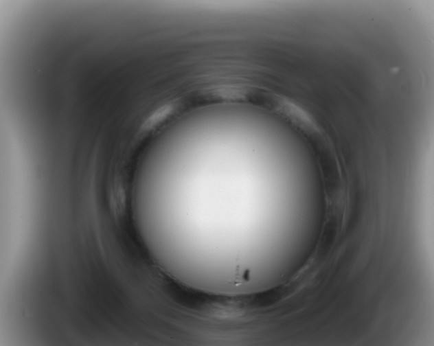 X0000086250120200704051249