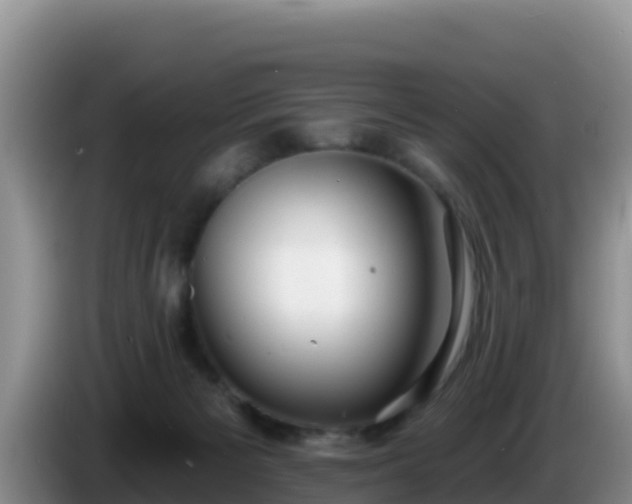 X0000086250125200704051249