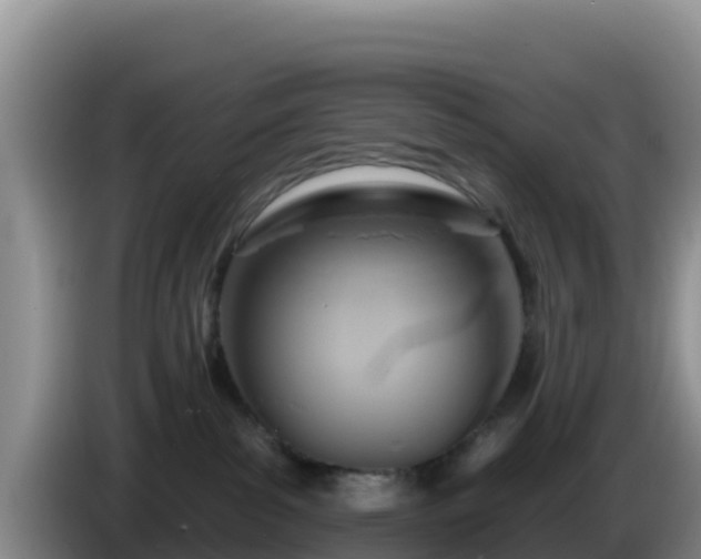 X0000086250139200704051249