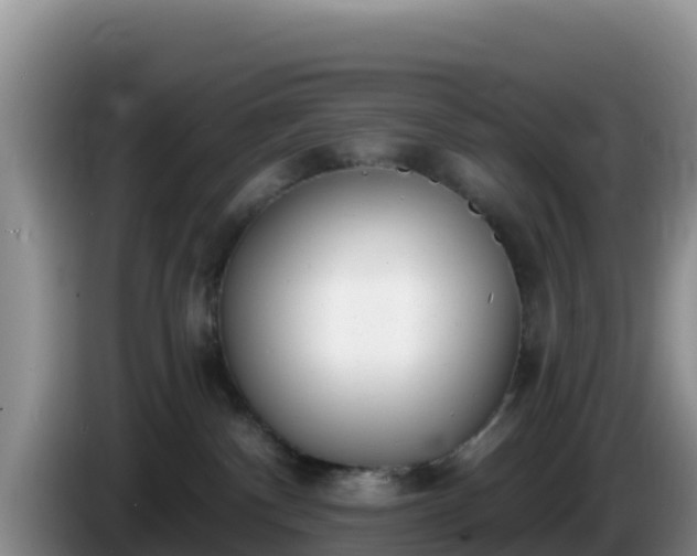X0000086250140200704051249