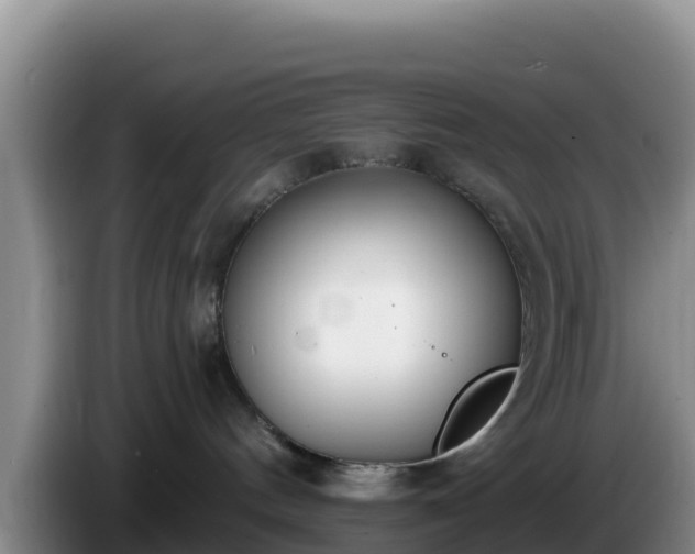 X0000086250144200704051249