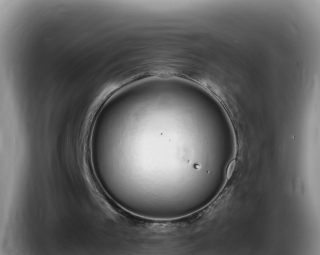X0000086250145200704051248