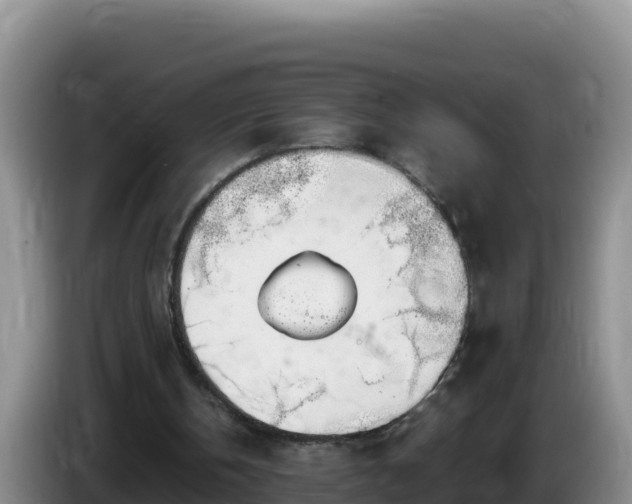 X0000086250146200704051248