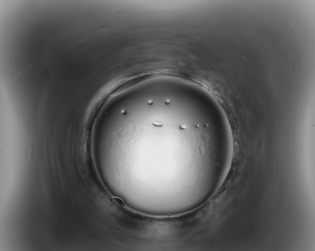 X0000086250149200704051248