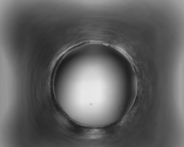 X0000086250151200704051248
