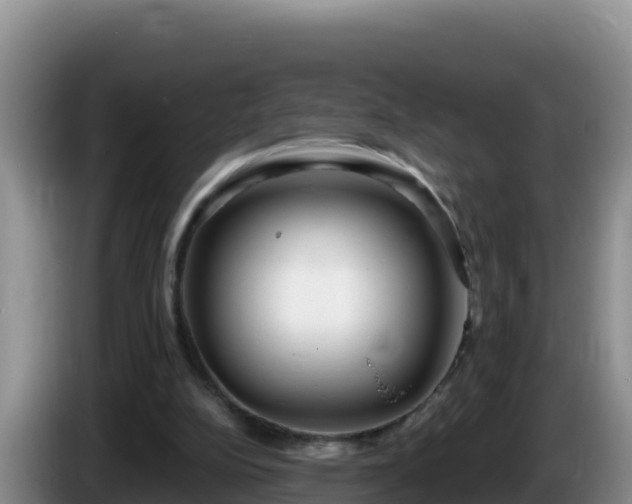 X0000086250152200704051248