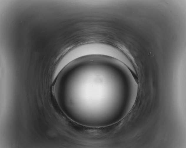 X0000086250154200704051248