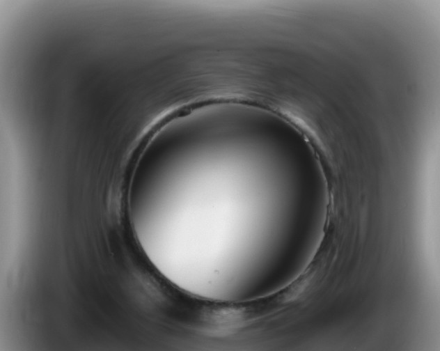 X0000086250156200704051248