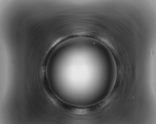X0000086250160200704051248