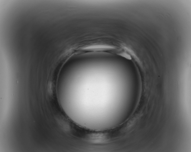 X0000086250161200704051248