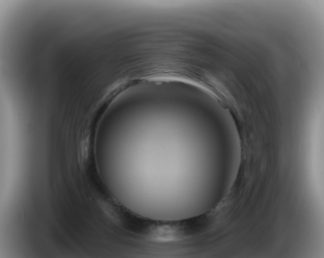 X0000086250163200704051248