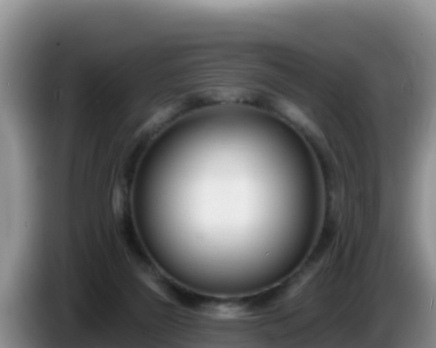 X0000086250165200704051248