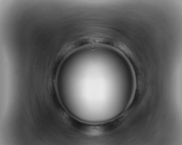 X0000086250169200704051248