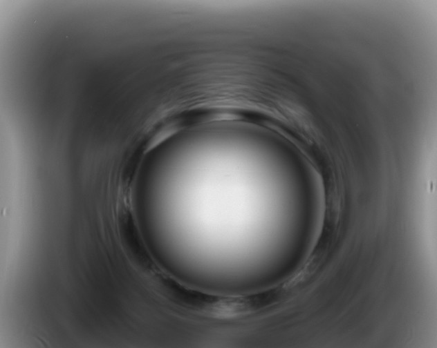 X0000086250172200704051248