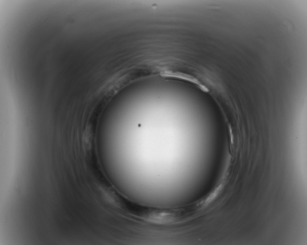 X0000086250174200704051248