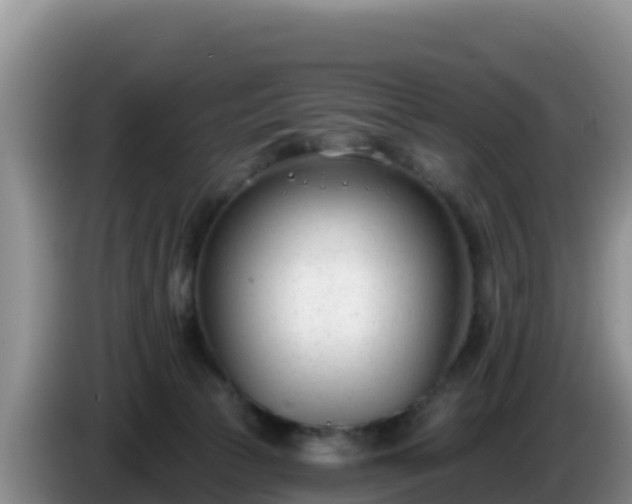 X0000086250177200704051249