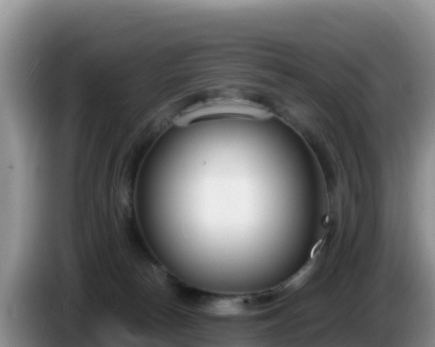 X0000086250178200704051249