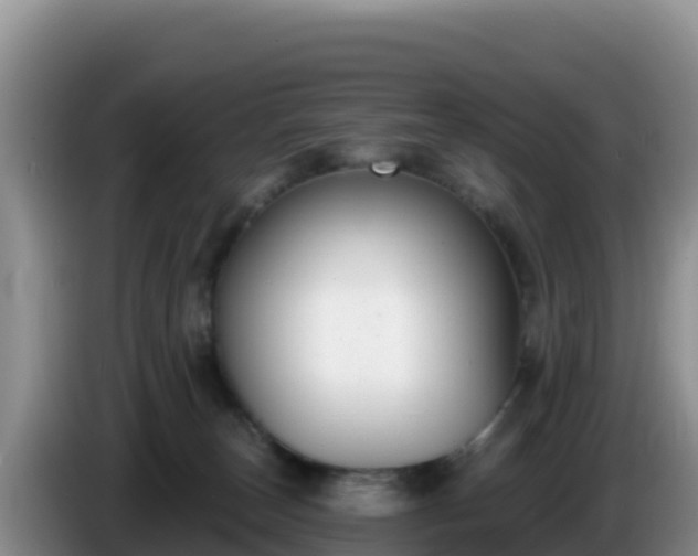 X0000086250179200704051249