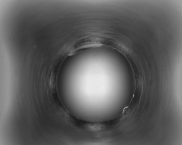 X0000086250181200704051249