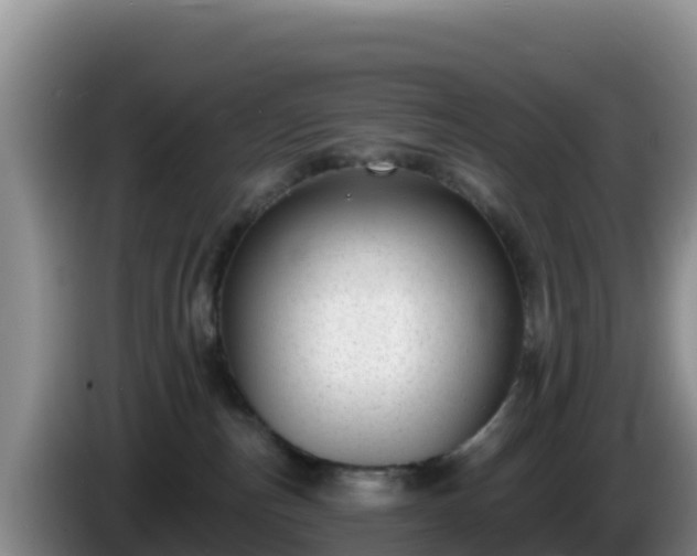 X0000086250187200704051249
