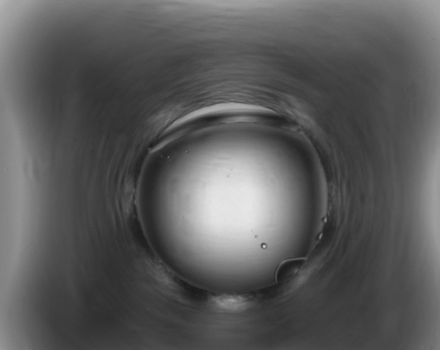 X0000086250189200704051249
