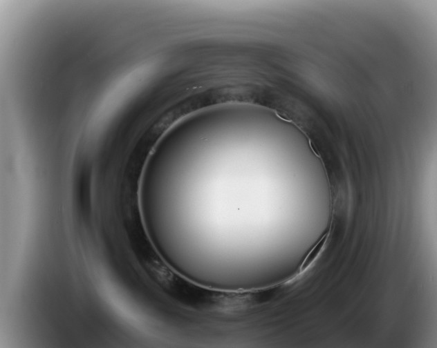 X0000086250191200704051249