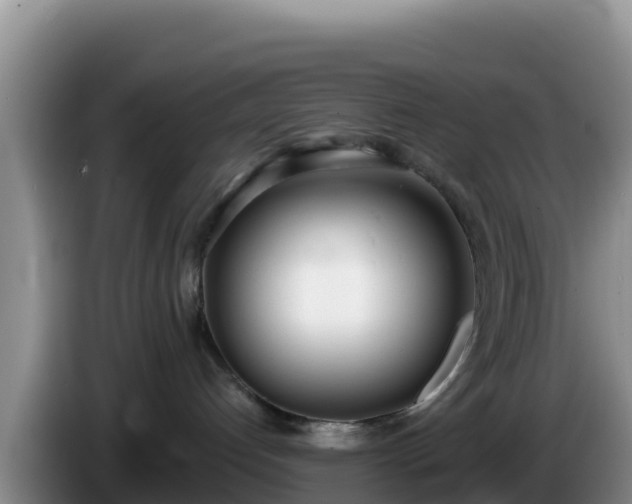 X0000086250192200704051249
