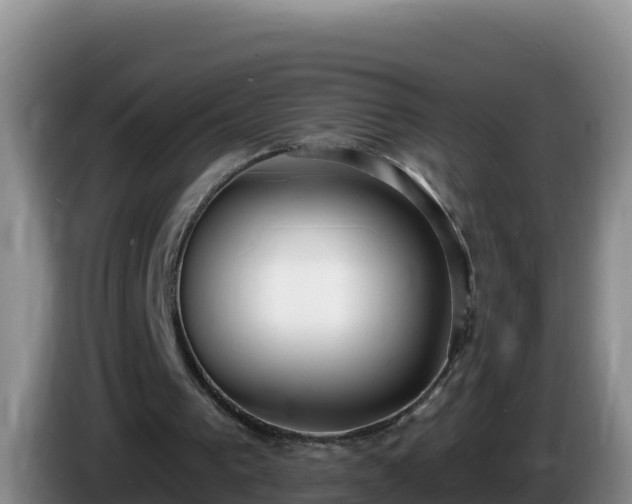 X0000086250193200704051248