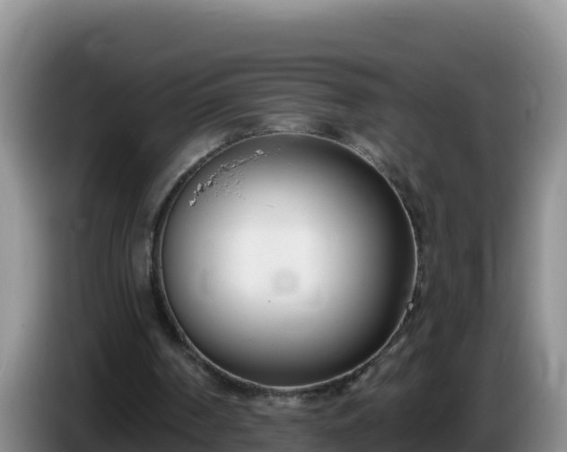 X0000086250194200704051248