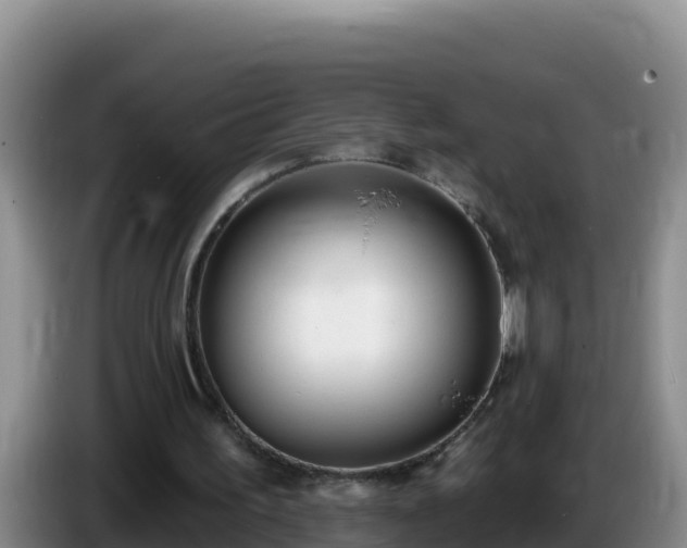 X0000086250195200704051248