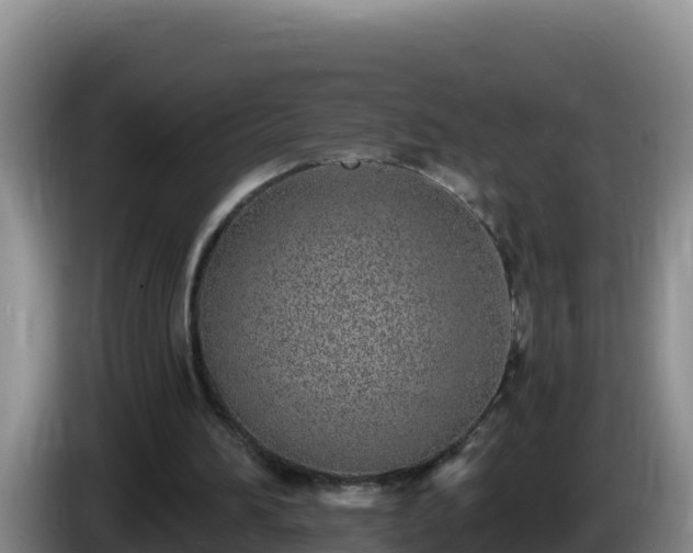 X0000086250196200704051248