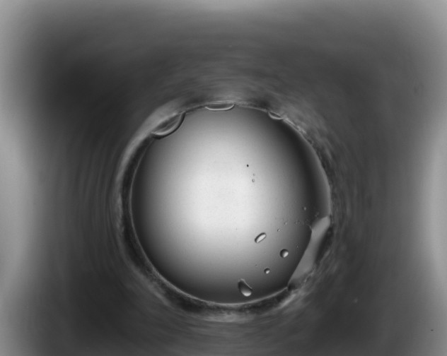 X0000086250198200704051248
