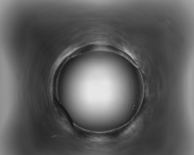 X0000086250199200704051248