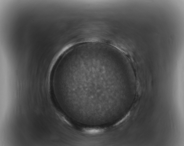 X0000086250200200704051248