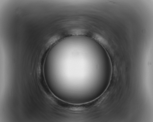 X0000086250202200704051248