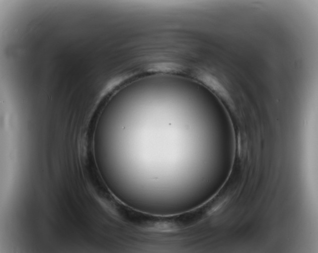X0000086250204200704051248