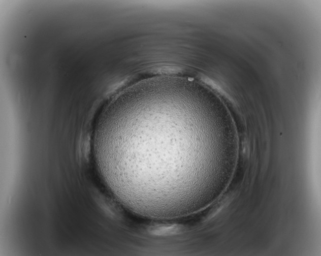 X0000086250206200704051248